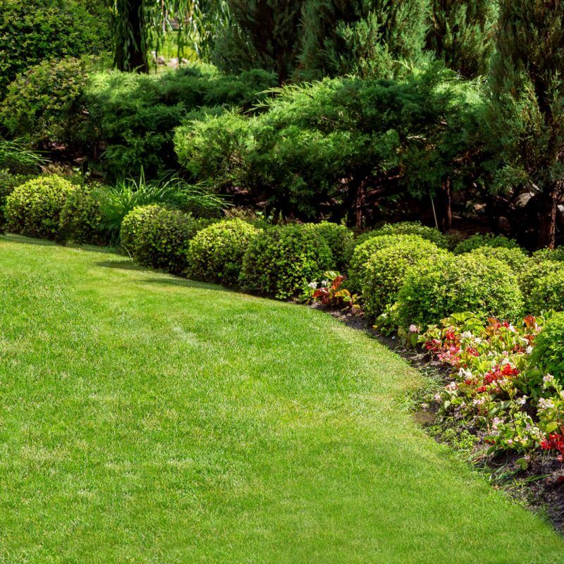 Well-maintained commercial landscape with neatly trimmed shrubs, curved planting bed, and lush green lawn bordered by colorful flowers.