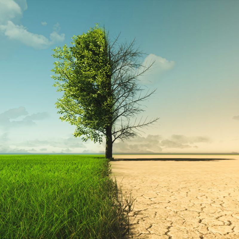 Image showcasing the benefits of sustainable landscaping