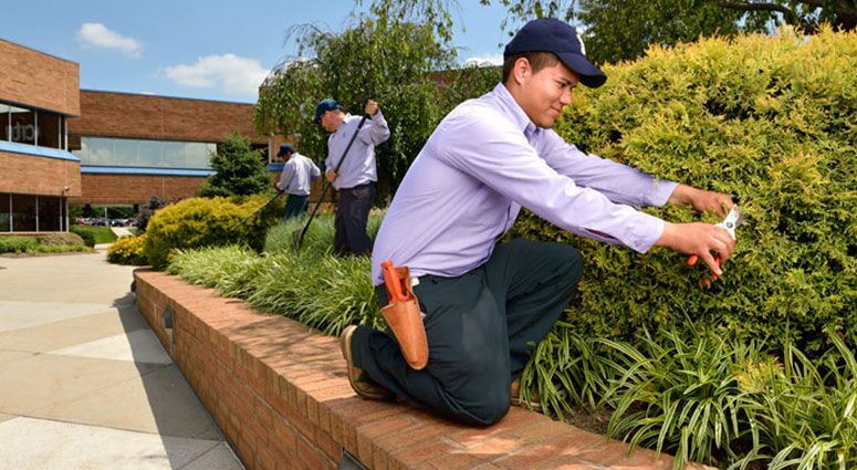 U.S. Lawns - Cleveland East photo 3