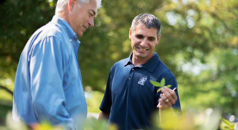 U.S. Lawns - Cleveland East photo 4