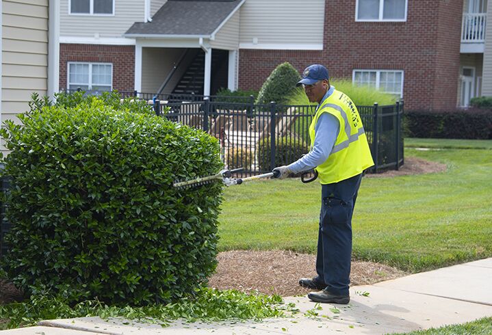 commercial landscape maintenance services