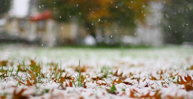 preparing your landscape for winter