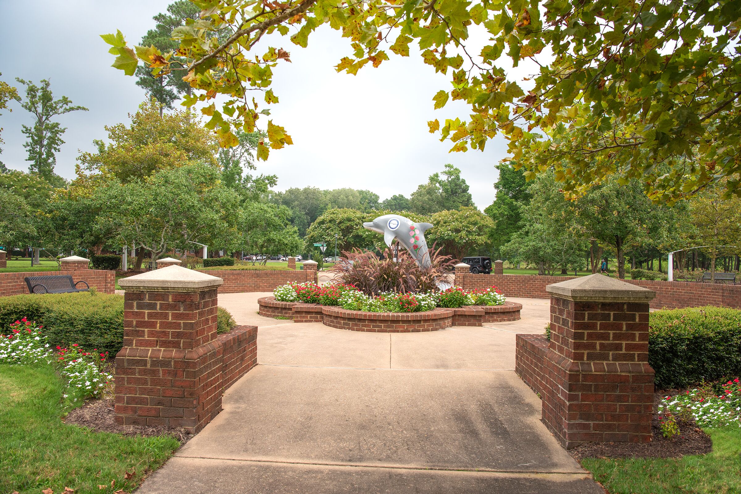 Common-area_dolphin_Hampton-Roads